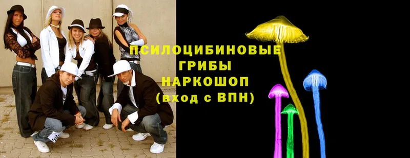 Галлюциногенные грибы MAGIC MUSHROOMS  магазин    Курильск 